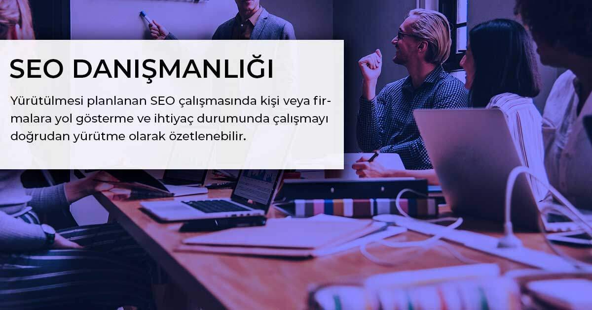 Seo DanışManlığı Hizmeti Nedir