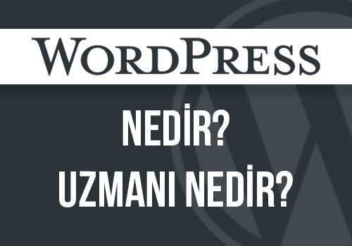 Wordpress Uzmanı