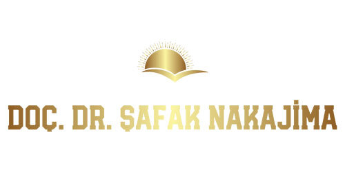 Safak-Nakajima-Logo