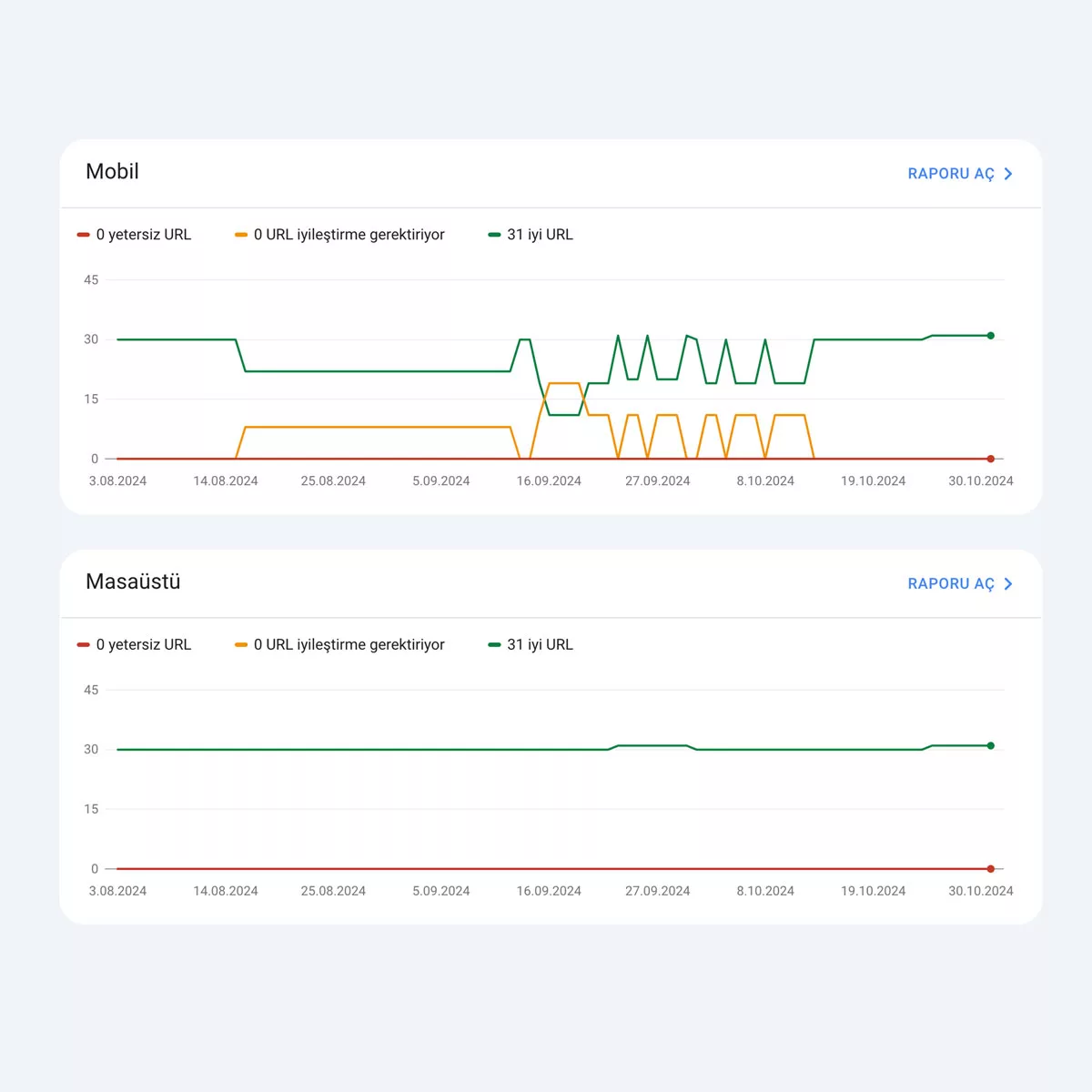 Google Search Console Deneyim ÖNemli Web Metrikleri Sekmesi